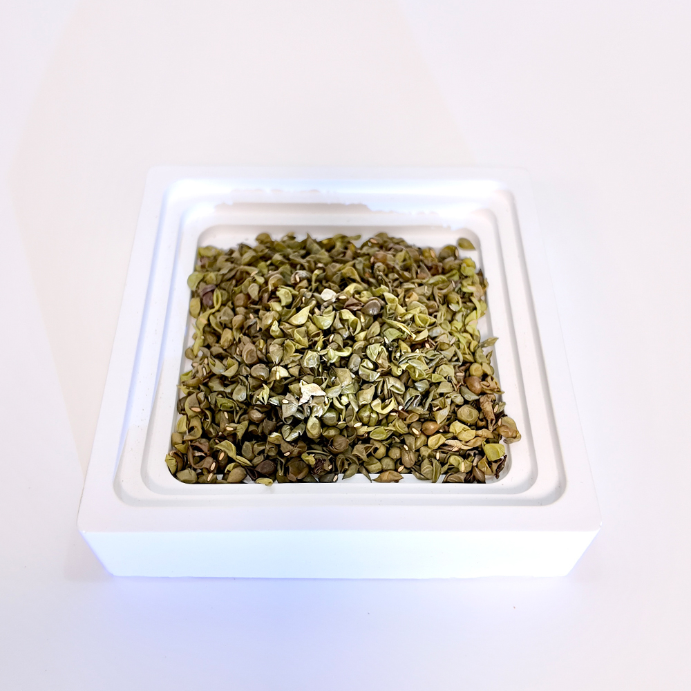 Mung Bean Coat