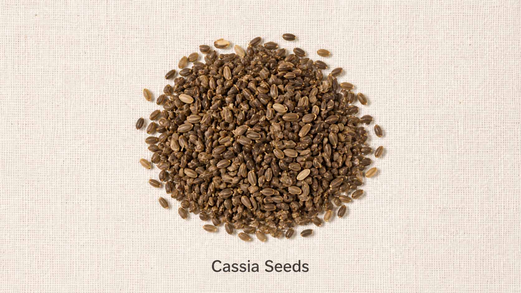 Cassia Seeds