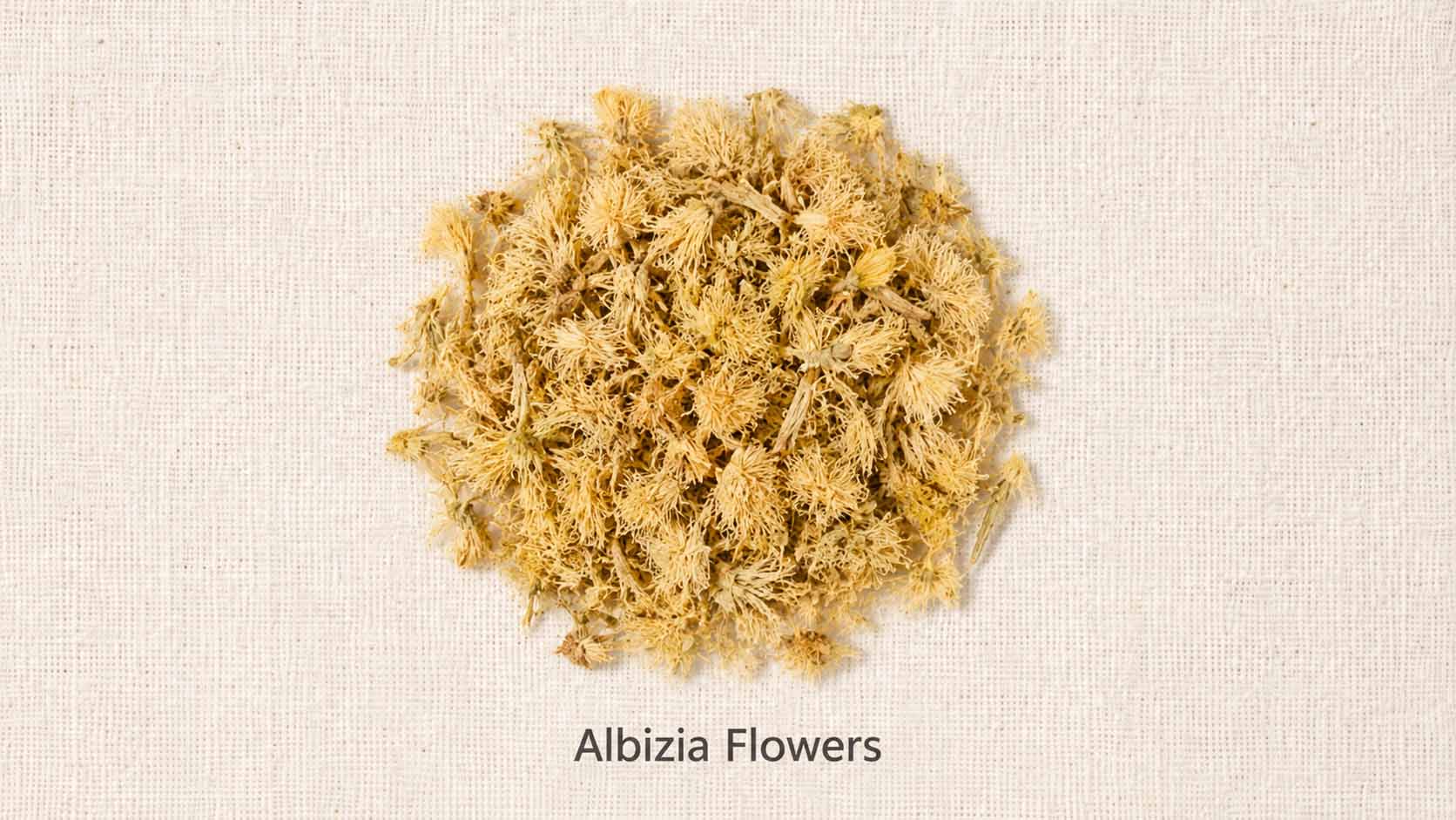 Albizia Flowers