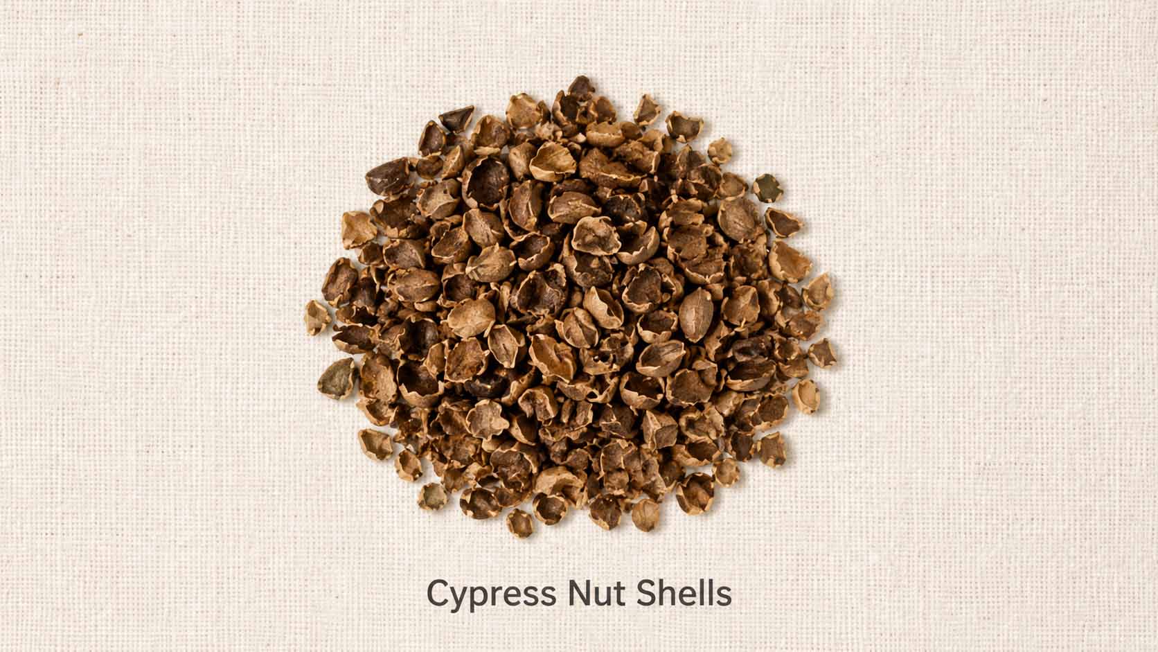 Cypress Nut Shells