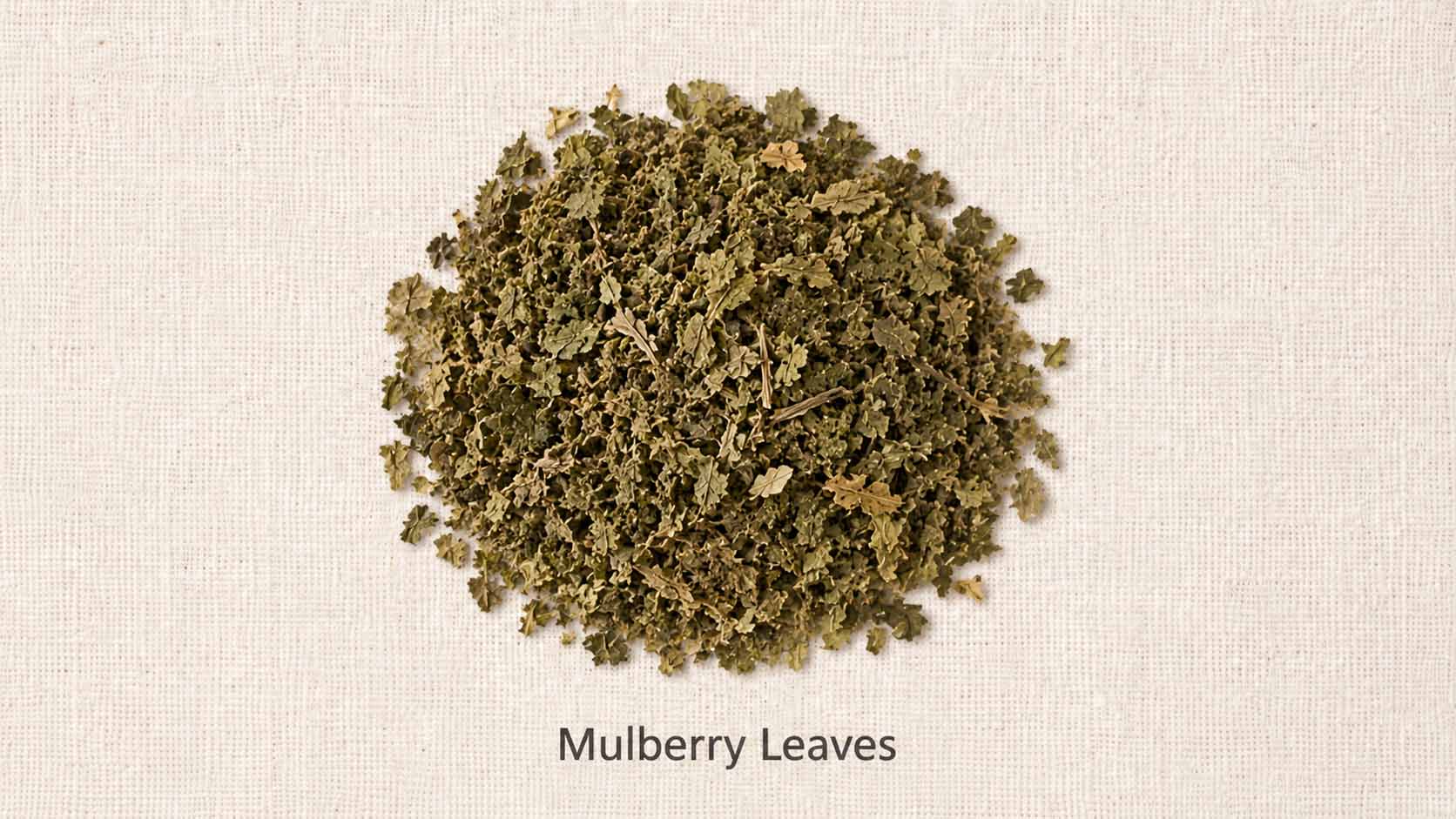 Mulberry Leaves