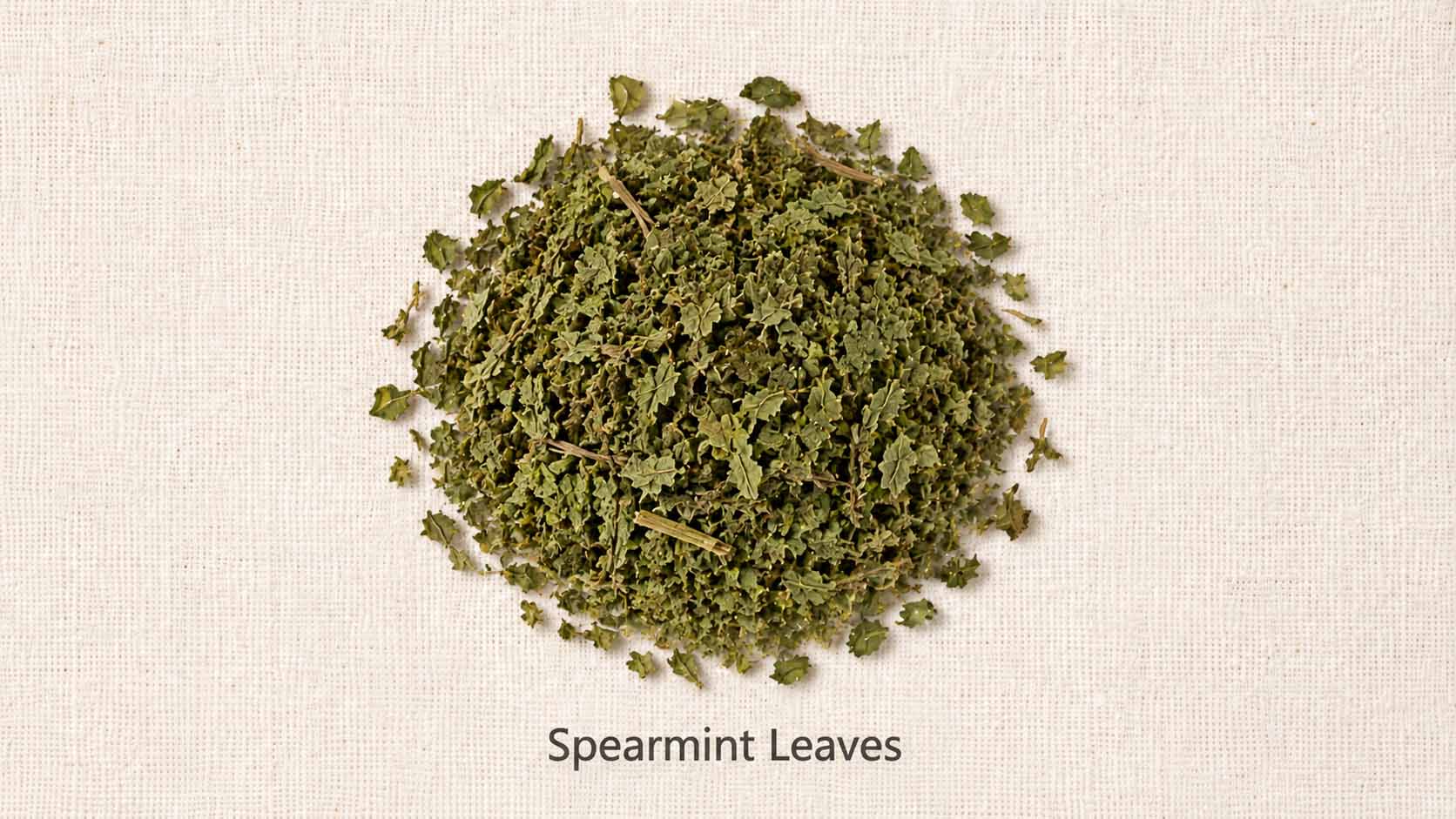 Spearmint Leaves