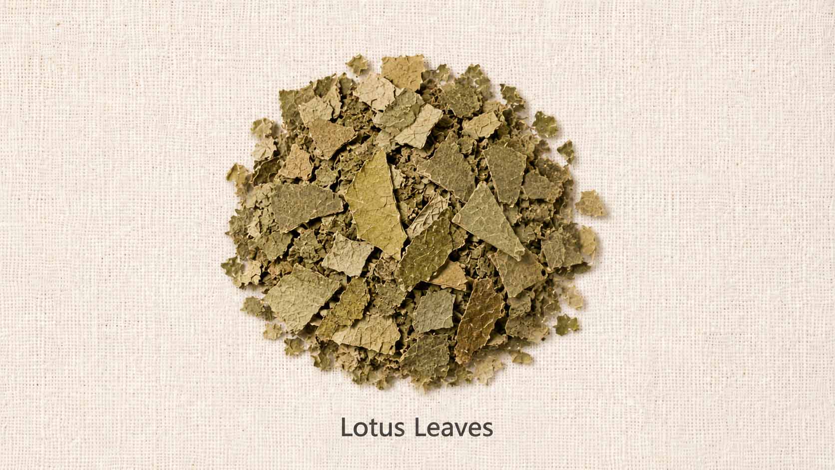 Lotus Leaves