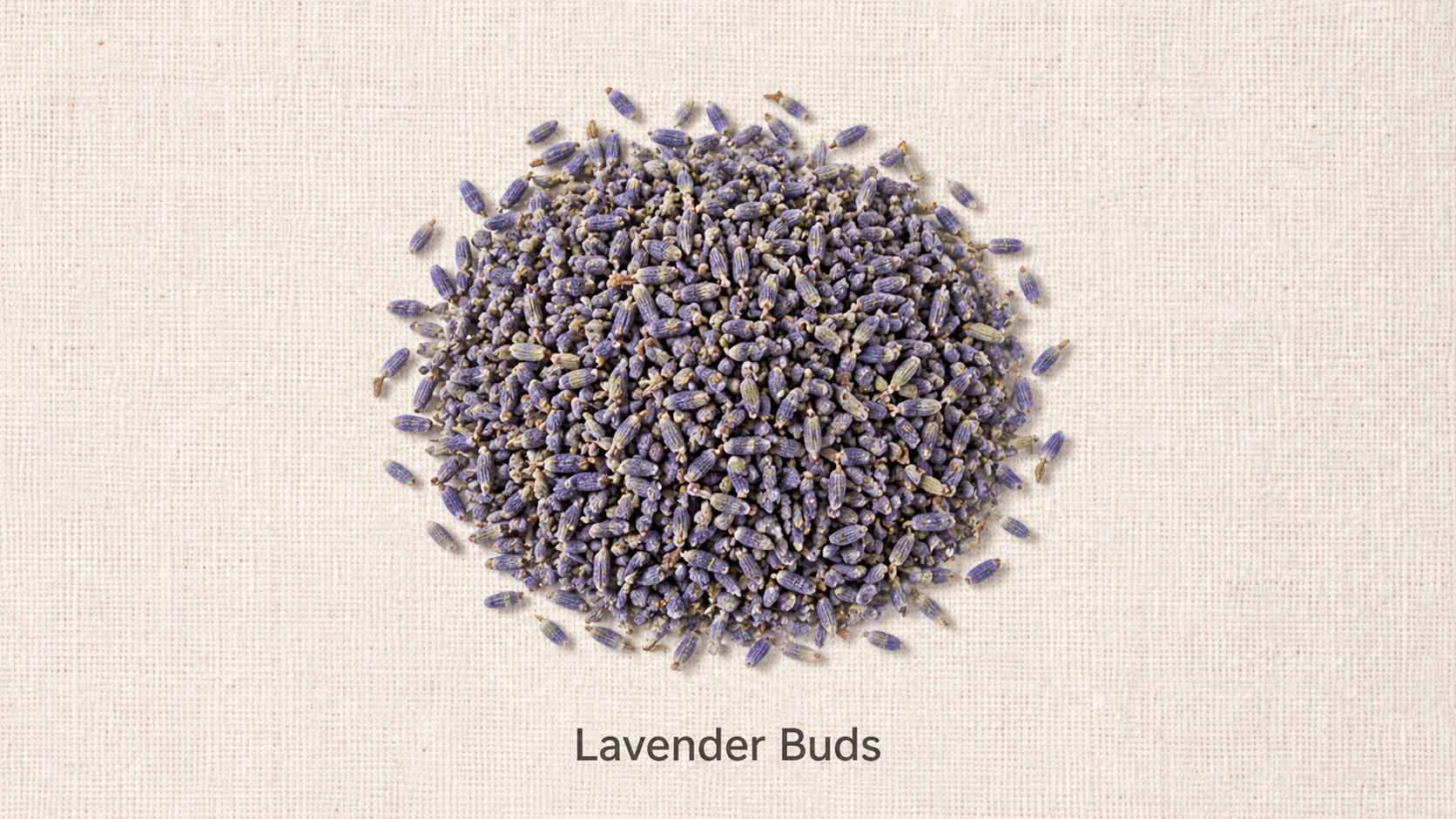 Lavender Buds