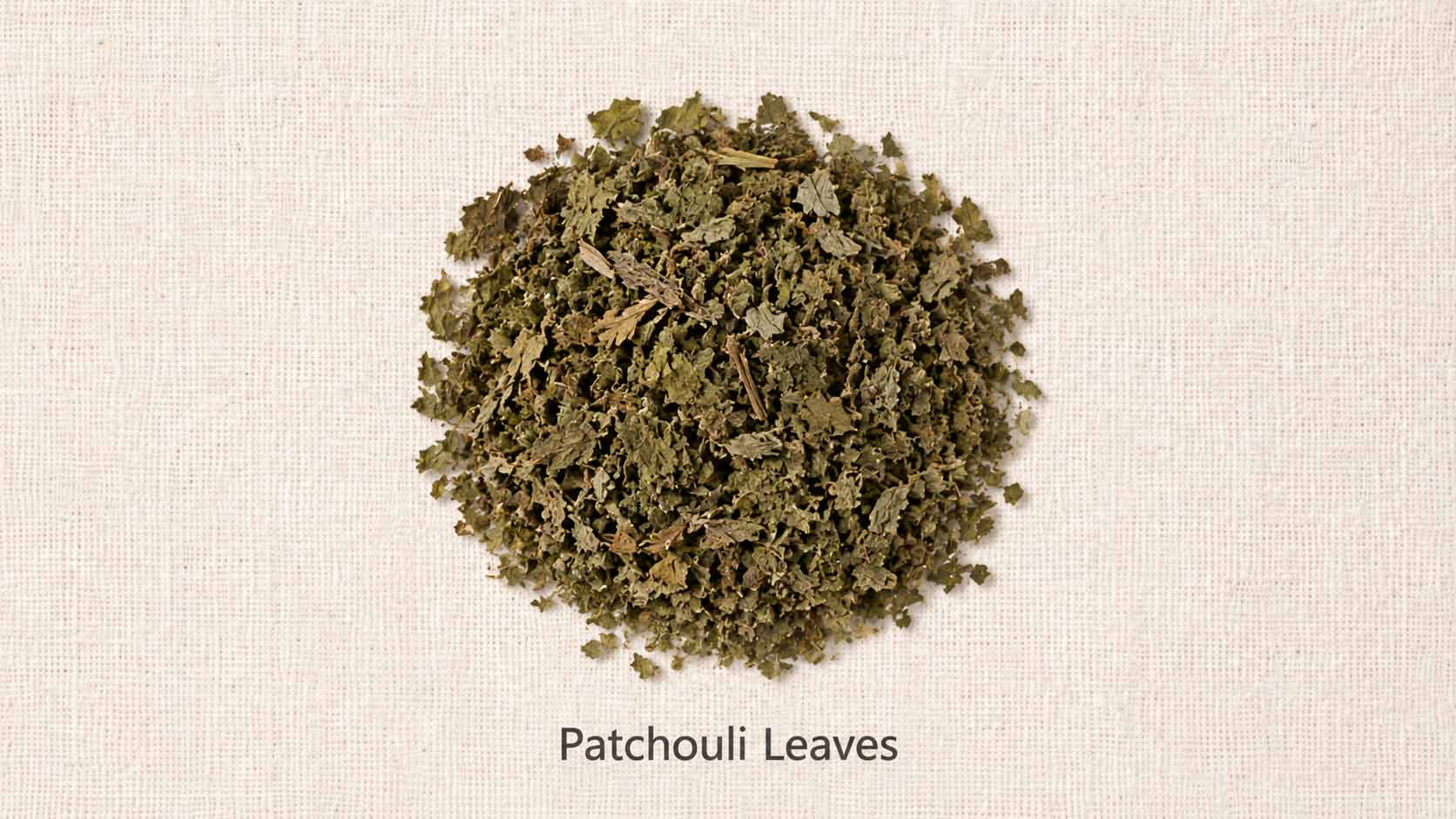 Patchouli Leaves
