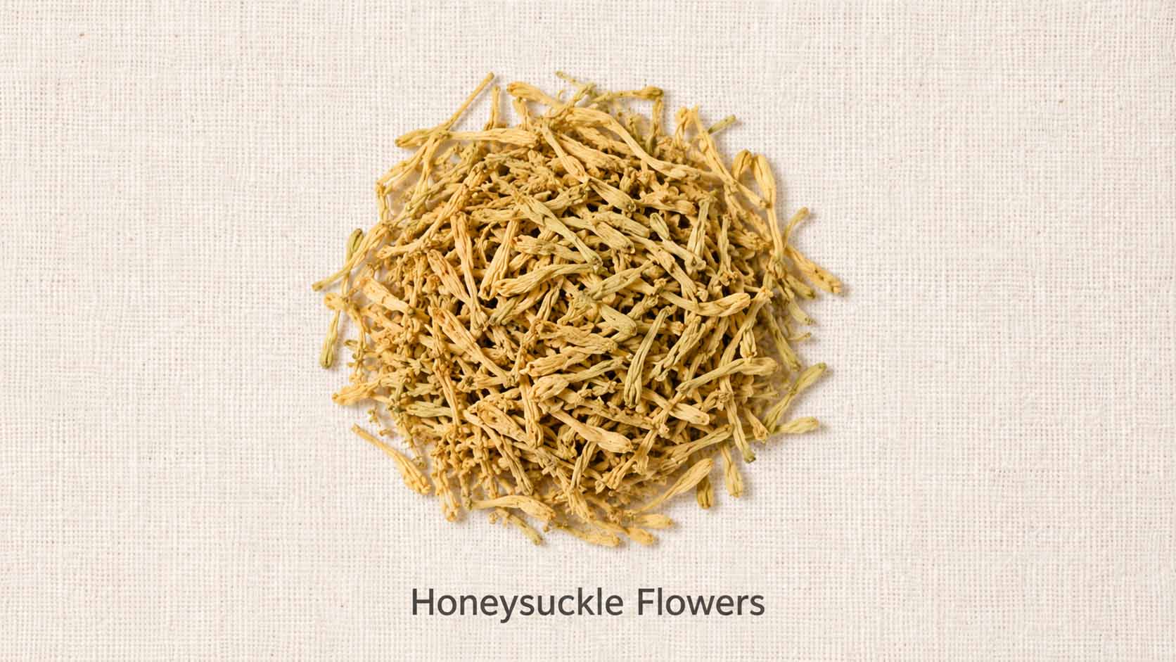 Honeysuckle Flowers